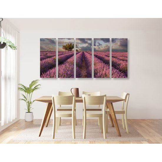 5-dielny obraz pole plné levandule