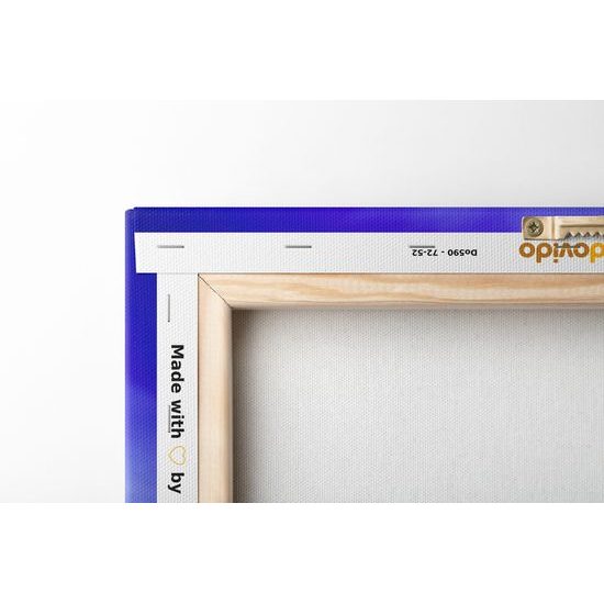 Obraz čarovná púpava