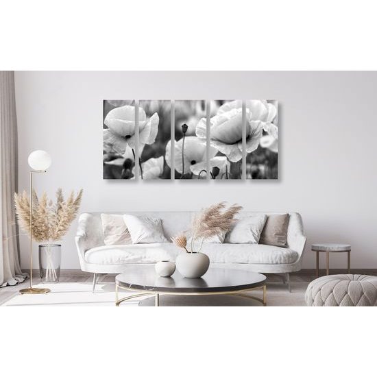 5-dielny obraz jedinečné divé maky v čiernobielom prevedení