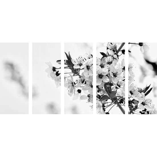 5-dielny obraz krásne kvety v čiernobielom prevedení