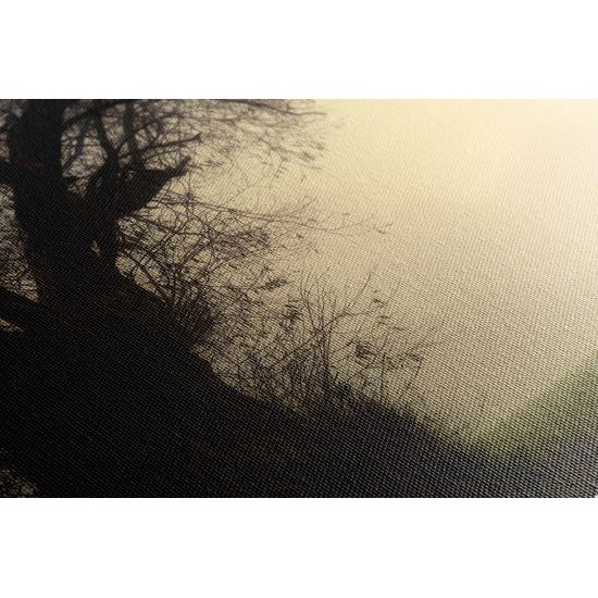 Obraz pole zahalené v rannej hmle