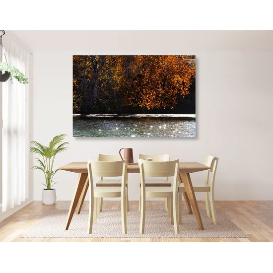 Obraz krásy jesenej prírody