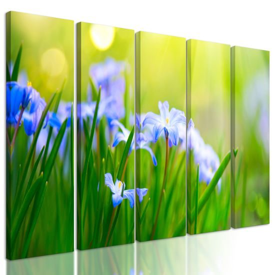 5-dielny obraz lúčne kvety na zelenej tráve