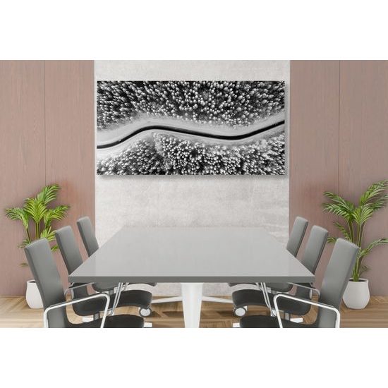 Obraz cesta cez zasnežený les v čiernobielom prevedení