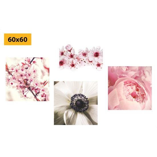 Set obrazov jemné romantické kvety