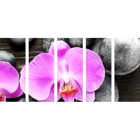 5-dielny obraz orchidea a Zen kamene na drevenom pozadí