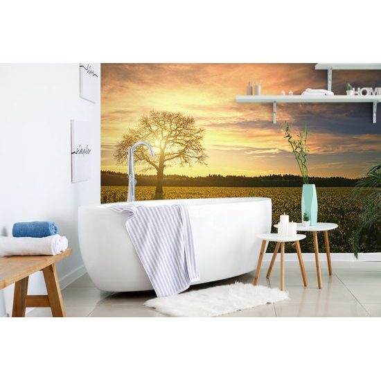 Samolepiaca fototapeta opustený strom pri západe slnka