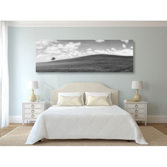 Obraz slnečný deň na lúke v čiernobielom prevedení