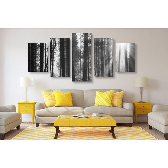 5-dielny obraz slnko predierajúce sa medzi korunami stromov v čiernobielom prevedení