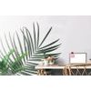 Samolepící fototapeta minimalistický list palmy