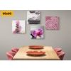 Set obrazů orchidej na pravidelných kamenech