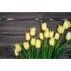 Samolepící fototapeta žluté tulipány v elegantním provedení