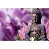 Obraz Buddha meditující v květinové zahradě