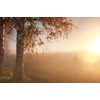 Samolepící fototapeta mlhavé ráno