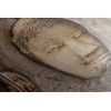 Obraz Buddha obrostlý stromem