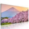 Obraz romantický pohled na Japonsko