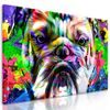 Obraz buldok v pop art provedení