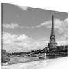 Obraz černobílý den v paříži
