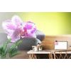 Fototapeta zen kamene s orchideou