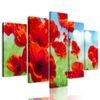 5-dílný obraz luční máky