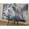 Obraz nádherný lev v černobílém provedení