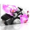 Obraz wellness kameny a orchidej po dešti