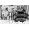 Samolepící fototapeta nádherná zen zahrada v černobílém provedení
