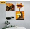 Set obrazů Feng Shui v oranžových barvách