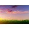 Samolepící tapeta nádherná obloha nad loukou