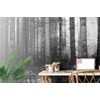 Originální samolepící fototapeta černobílé zákoutí lesa