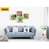Set obrazů příroda v provedení Feng Shui