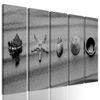 5-dílný obraz černobílé mušle na písku