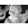 Obraz soška anděla v černobílém provedení