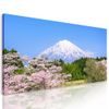 Obraz nádherná Japonská sopka Fuji