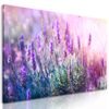 Obraz romantická levandule