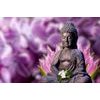 Fototapeta socha Buddhy s fialovým pozadím