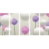 5-dílný obraz abstraktní luční květiny