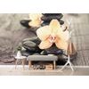 Samolepící fototapeta krásná orchidej se zen kameny