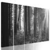 5-dílný obraz slunce prodírající se mezi korunami stromů v černobílém provedení