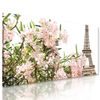 Obraz růžové květiny pod Eiffelovou věží