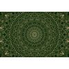 Obraz zelená detailní Mandala