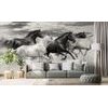 Okouzlující černobílá samolepící tapeta stádo cválajících koní