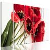 5-dílný obraz nádherné tulipány