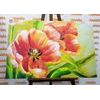 Obraz malované tulipány