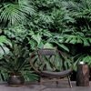 Samolepící fototapeta divoká džungle