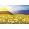 Samolepící tapeta louka sedmikrásek v záři slunce