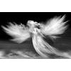 Obraz černobílý fascinující oblak anděla