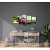 5-dílný obraz zahrada Feng Shui