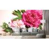 Samolepící fototapeta růžové květy pivoňky