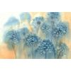 Tapeta akvarelová malba pampelišky v odstínech modré